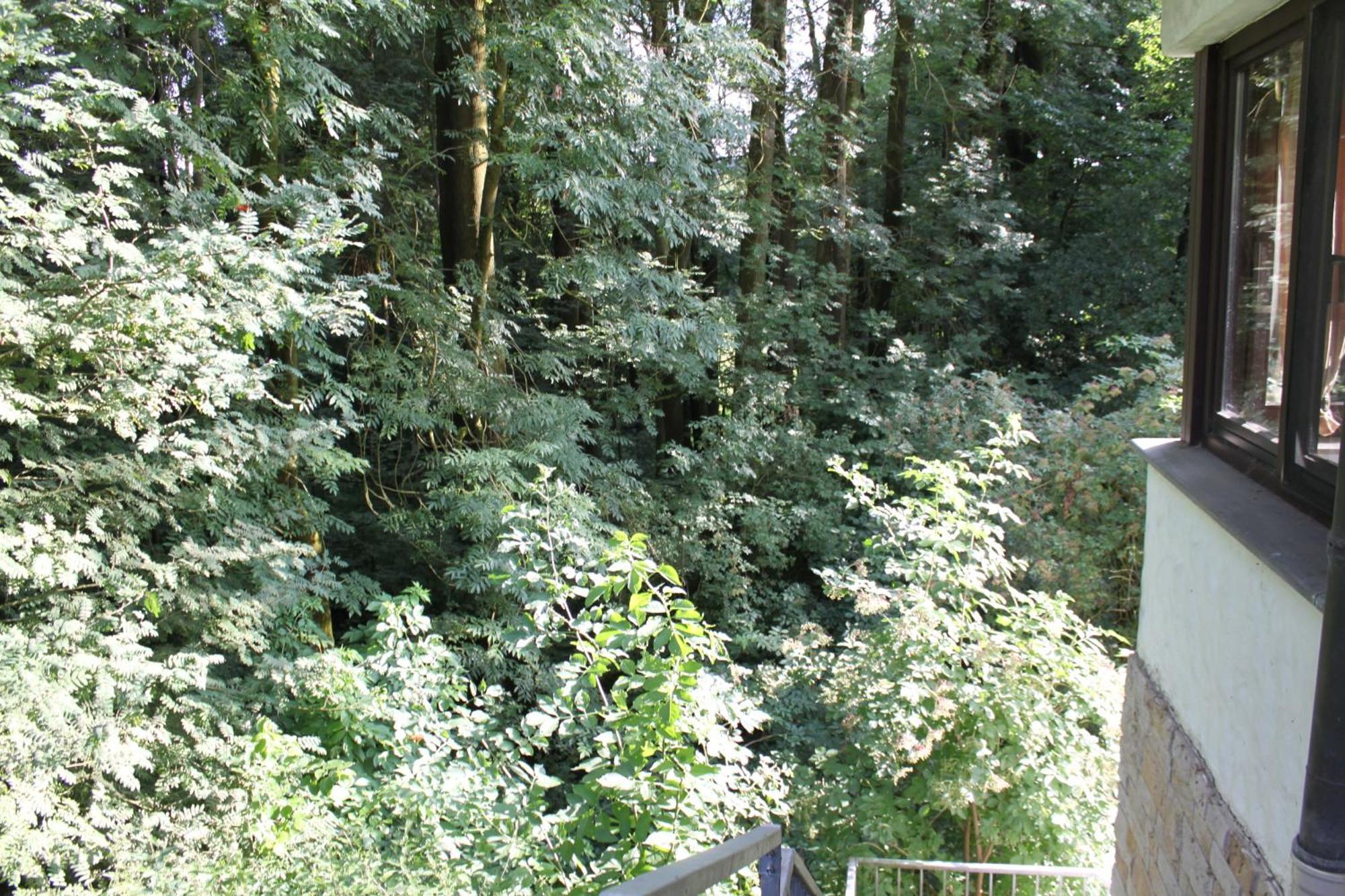 Fewo Harling - Waldsamkeit 巴特伊堡 外观 照片